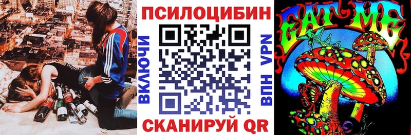 купить закладку  Пласт  Псилоцибиновые грибы GOLDEN TEACHER 
